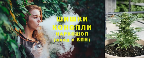 шишки Алзамай