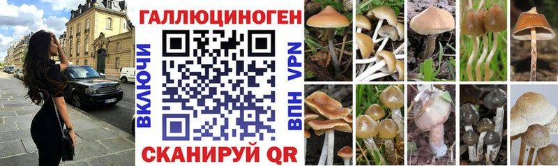 Псилоцибиновые грибы Cubensis  Лахденпохья 